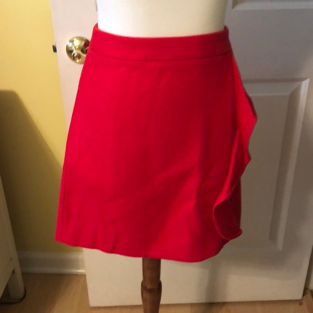 J Crew Skirt